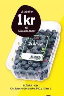 ICA Maxi ICA Blåbär i ask erbjuda
