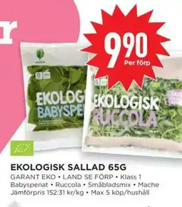 Willys EKOLIGISK SALLAD 65G erbjuda