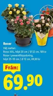 Lidl Rosor erbjuda
