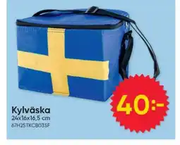 DollarStore KYLVÄSKA erbjuda