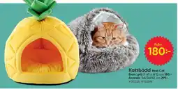 DollarStore Kattbädd Real Cat erbjuda