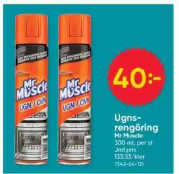 DollarStore Ugnsrengöring Mr Muscle erbjuda