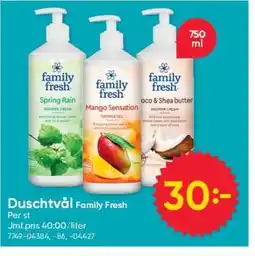DollarStore DUSCHTVÅL FAMILY FRESH erbjuda