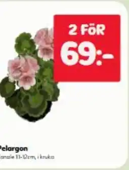 Hemköp Pelargon erbjuda
