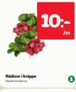 Hemköp Rädisor i knippe Nederlanderna erbjuda