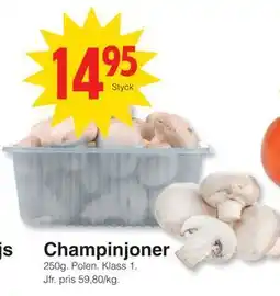 Matöppet Champinjoner erbjuda