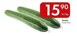 Snabbgross Gurka erbjuda