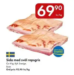 Snabbgross Sida med svål rapsgris erbjuda