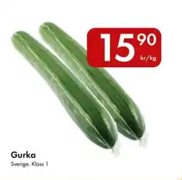 Snabbgross Gurka erbjuda
