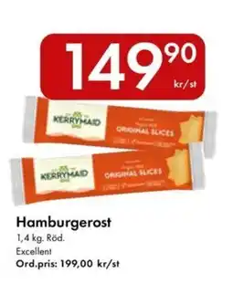 Snabbgross EXCELLENT Hamburgerost erbjuda