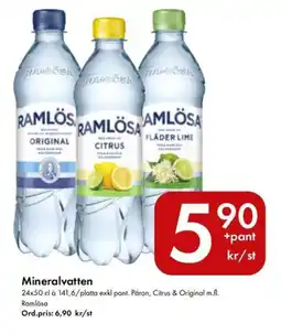 Snabbgross Ramlösa Mineralvatten erbjuda