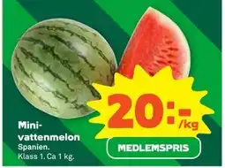 Stora Coop Minivattenmelon, Medlemspris erbjuda