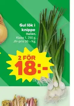 Stora Coop Gul lök i knippe erbjuda
