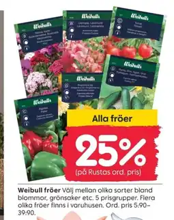 Rusta Weibull fröer erbjuda