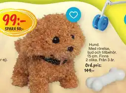Leklust Hund erbjuda