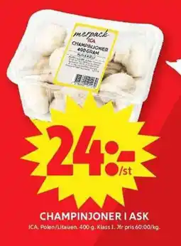 ICA Maxi ICA Champinjoner i ask erbjuda
