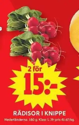 ICA Maxi Rädisor i knippe erbjuda