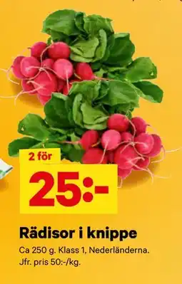 City Gross Rädisor i knippe erbjuda