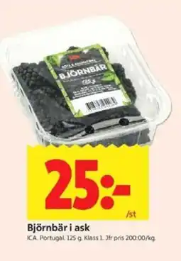ICA Kvantum ICA Björnbär i ask erbjuda