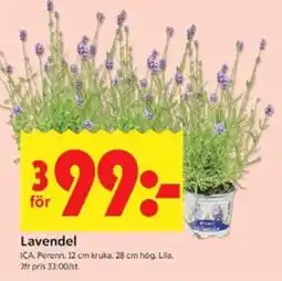 ICA Kvantum Lavendel erbjuda