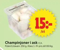 ICA Supermarket ICA Champinjoner i ask erbjuda