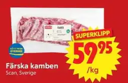 Nya Pulsen SCAN Färska kamben erbjuda