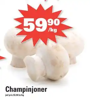 Champinjoner
