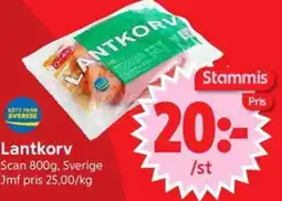 Nya Pulsen Scan Lantkorv erbjuda