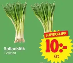 Nya Pulsen Salladslök erbjuda