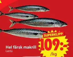 Nya Pulsen Hel färsk makrill erbjuda