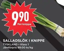 Willys Salladslök i knippe erbjuda