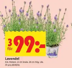ICA Kvantum Lavendel erbjuda