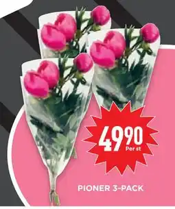 Willys Hemma PIONER 3-PACK erbjuda
