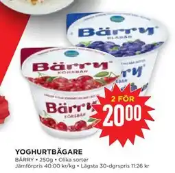 Willys Hemma YOGHURTBÄGARE erbjuda