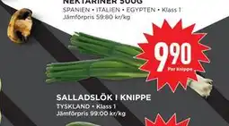 Willys Hemma SALLADSLÖK I KNIPPE erbjuda