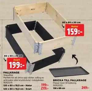 PALLKRAGE