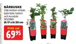 Jem&Fix BÄRBUSKE erbjuda