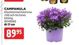 Jem&Fix CAMPANULA erbjuda