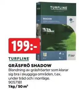 Jem&Fix GRÄSFRÖ SHADOW erbjuda