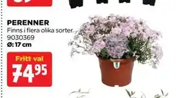 Jem&Fix PERENNER erbjuda