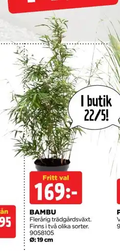 Jem&Fix BAMBU erbjuda