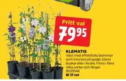 Jem&Fix KLEMATIS erbjuda