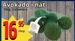 Supergrossen Avokado i nät erbjuda