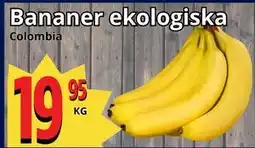 Supergrossen Bananer ekologiska erbjuda
