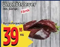 Supergrossen Ungnötslever erbjuda