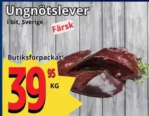Supergrossen Ungnötslever erbjuda