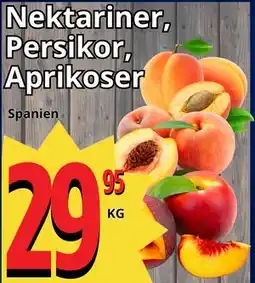 Supergrossen Nektariner, Persikor, Aprikoser erbjuda