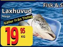 Supergrossen Laxhuvud erbjuda