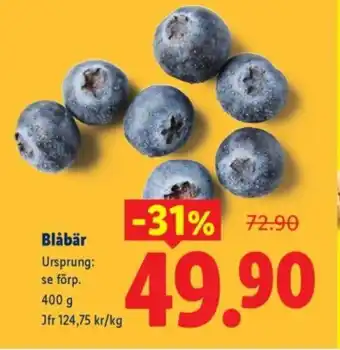Blåbär