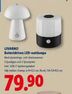 Lidl LIVARNO Batteridriven LED-nattlampa erbjuda